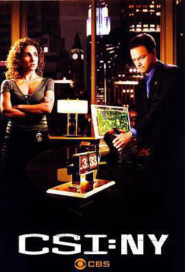 犯罪現場調查：紐約 第五季免費觀賞