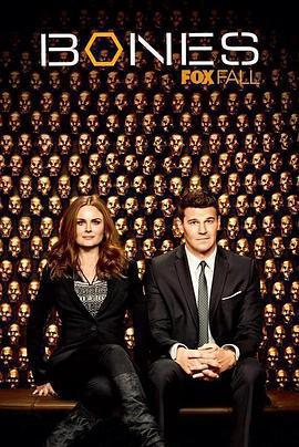 識骨尋蹤 第九季免費觀賞