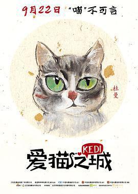 愛貓之城免費觀賞
