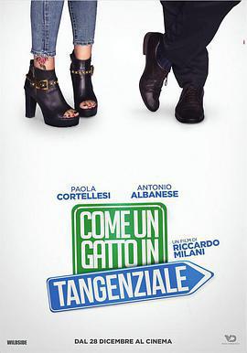 高速路上一隻貓免費觀賞