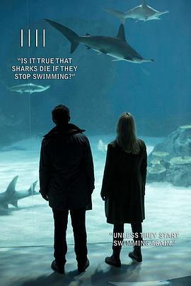 橋 第四季免費觀賞