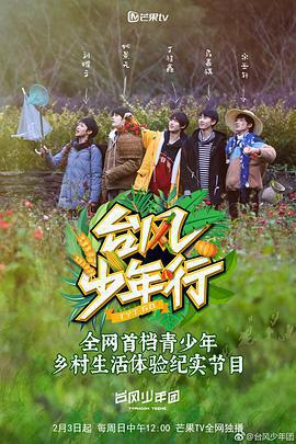 颱風少年行免費觀賞