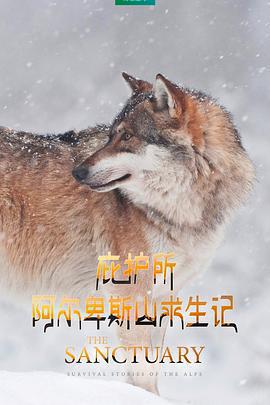 庇護所：阿爾卑斯山求生記免費觀賞