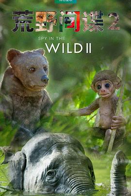 荒野間諜 第二季免費觀賞