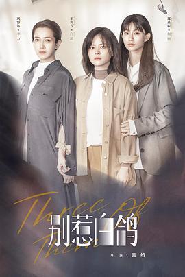 別惹白鴿免費觀賞