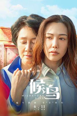 候鳥免費觀賞