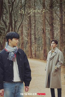 致我的星星 第二季免費觀賞