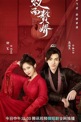 雙面贅婿免費觀賞