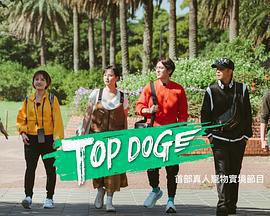 TOP DOG免費觀賞