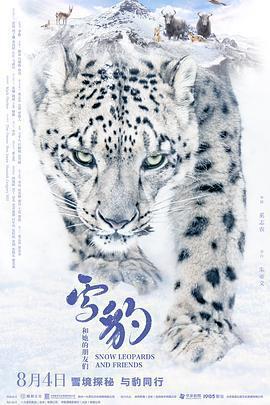 雪豹和她的朋友們免費觀賞