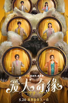 愛犬奇緣免費觀賞