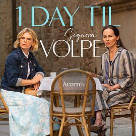 狐狸女士 第二季免費觀賞