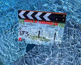 天堂島疑雲 第十三季免費觀賞