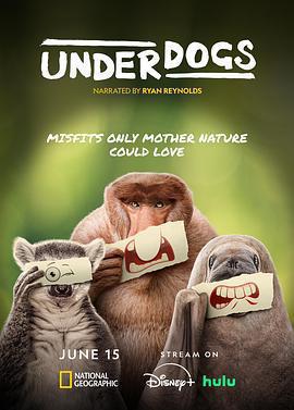 廢柴英雄免費觀賞