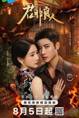 君非良人免費觀賞