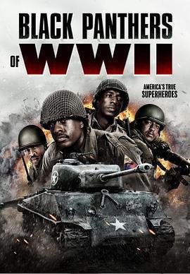 二戰黑豹免費觀賞