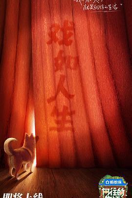 嚮往的生活 第八季免費觀賞