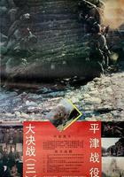 大決戰之平津戰役線上看