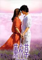 薰衣草免費觀賞