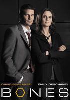 識骨尋蹤 第一季線上看