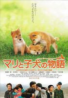 愛犬的奇蹟線上看