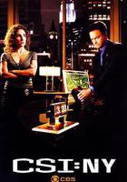 犯罪現場調查：紐約 第五季線上看