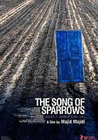 麻雀之歌線上看