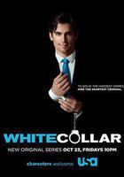 妙警賊探 第一季線上看