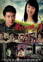 我是一棵小草線上看