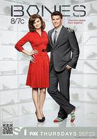 識骨尋蹤 第六季線上看