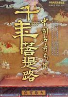 千年菩提路線上看