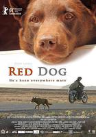 紅犬歷險記線上看