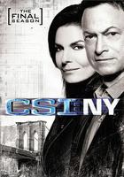 犯罪現場調查：紐約 第九季線上看