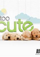 萌寵成長記 第三季線上看