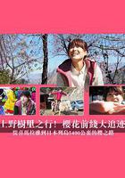上野樹里之行！櫻花前線大追跡～從喜馬拉雅到日本列島5400公里的櫻之路~線上看