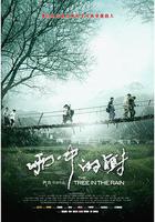 雨中的樹線上看