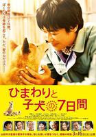 向日葵與幼犬的7天線上看