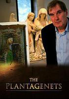 金雀花王朝線上看