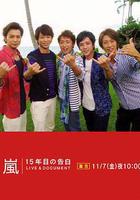 嵐：15周年的告白線上看