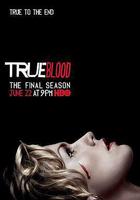 真愛如血 第七季線上看