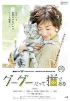 咕咕是一隻貓線上看