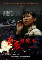 奇襲胡家台線上看