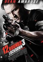 12回合3：致命禁閉線上看