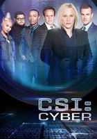 網絡犯罪調查 第二季線上看