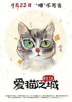 愛貓之城免費觀賞