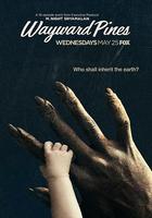 黑松鎮 第二季線上看