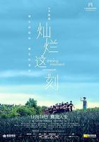 燦爛這一刻線上看