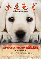 忠愛無言線上看