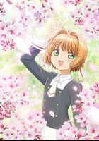 魔卡少女櫻 透明牌篇 序章 小櫻與兩隻小熊線上看