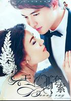 天鵝套索線上看